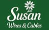 Susan Electricals India IPO