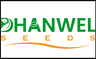 Dhanwel Hybrid Seeds IPO