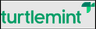 Turtlemint Fintech Solutions IPO