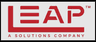 LEAP India IPO