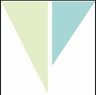 Vinod Texworld IPO